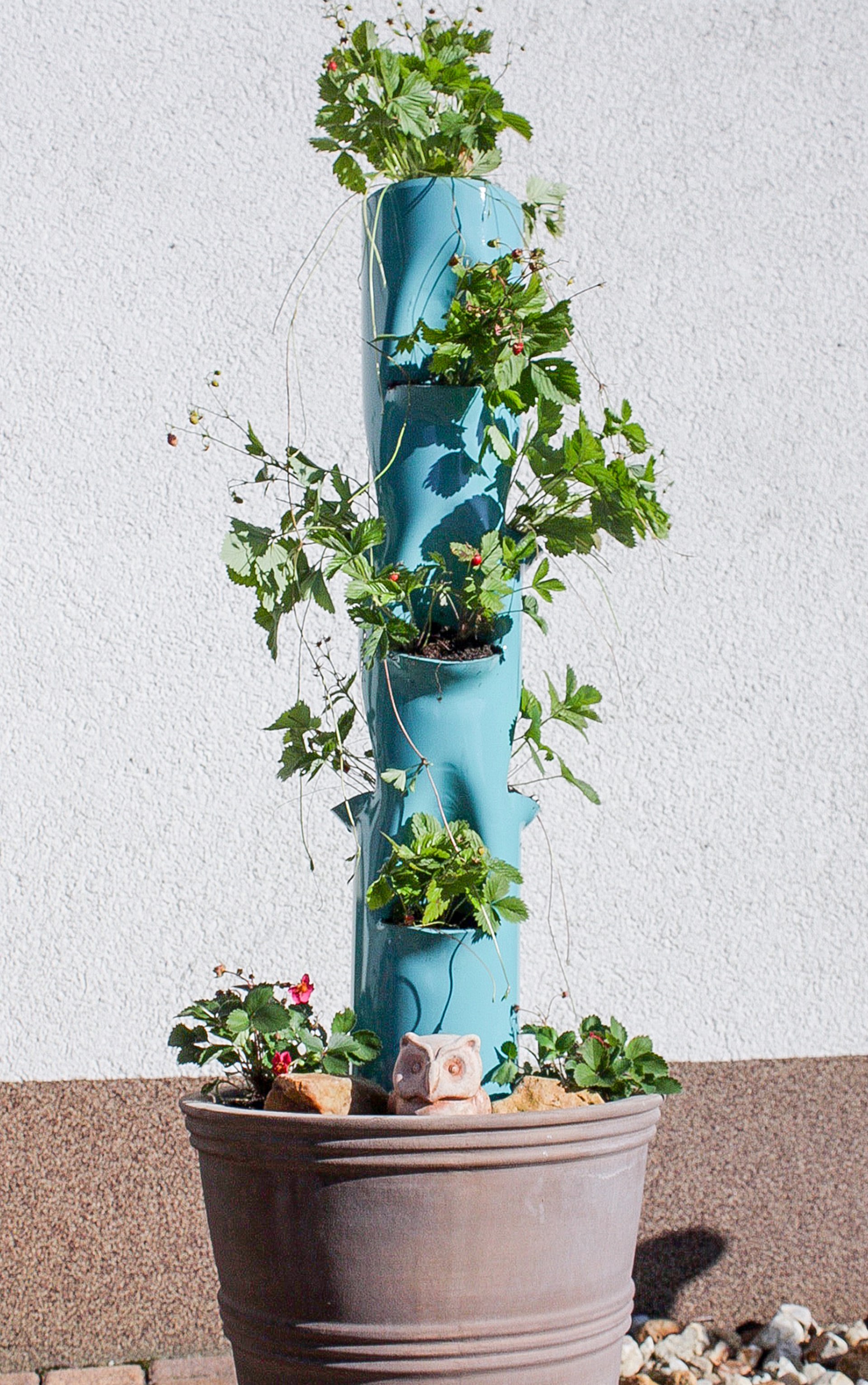 DIY-Erdbeerhochbeet-Schritt-7-3 DIY-Erdbeerhochbeet-Schritt-7-3
