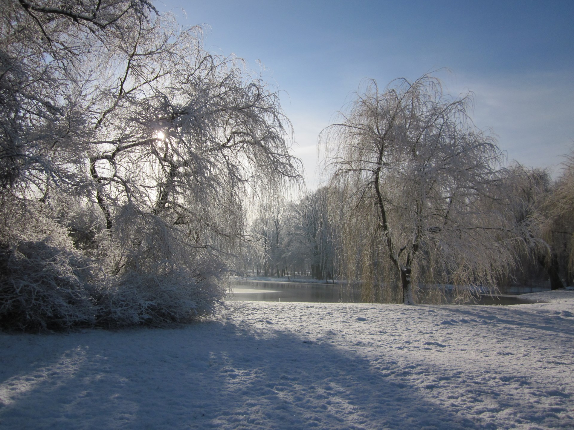 Sabine Liebster Taucha Sabine Liebster: Winterlandschaft in Taucha