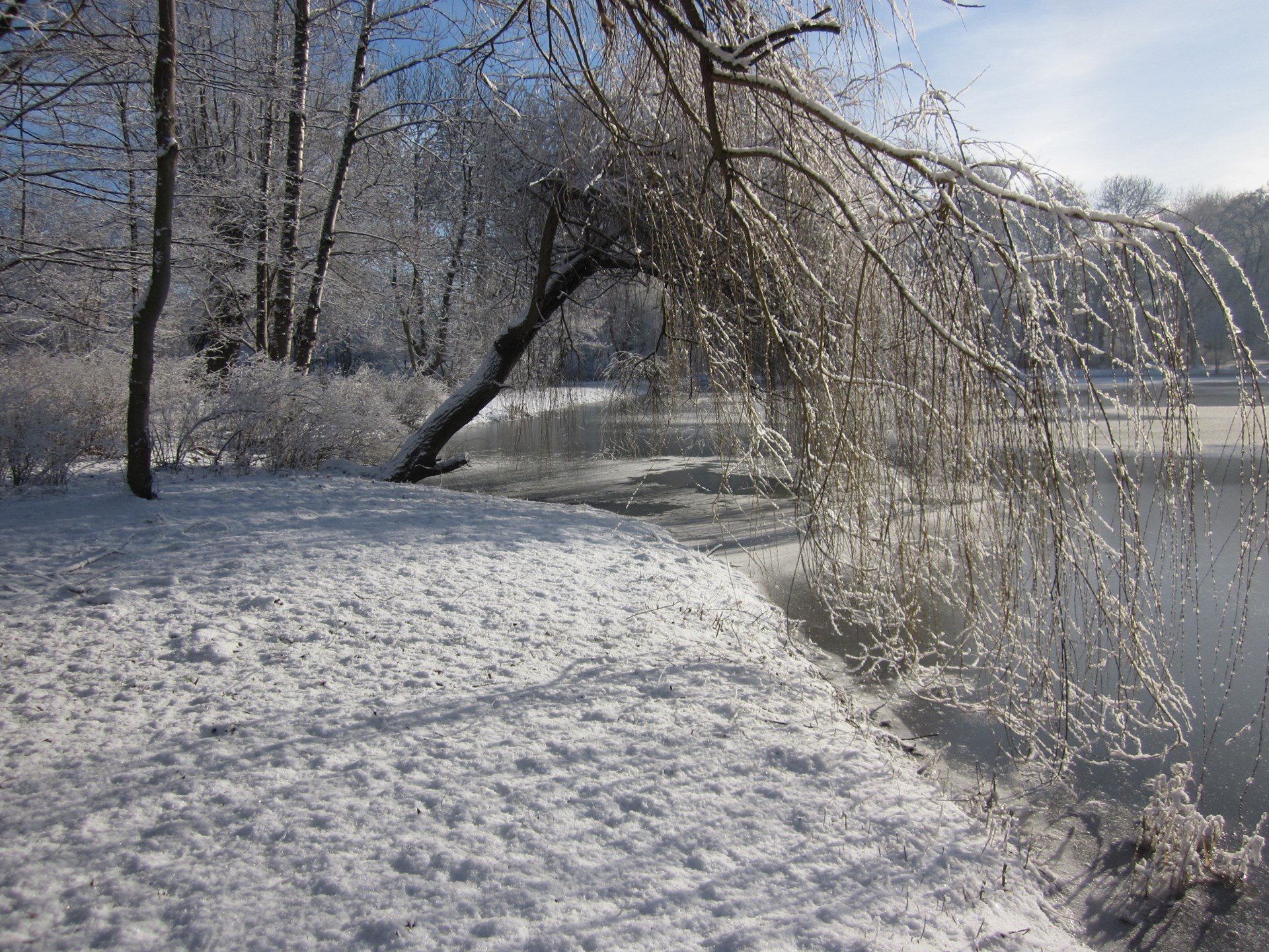 Sabine Liebster Taucha Sabine Liebster: Winterlandschaft in Taucha