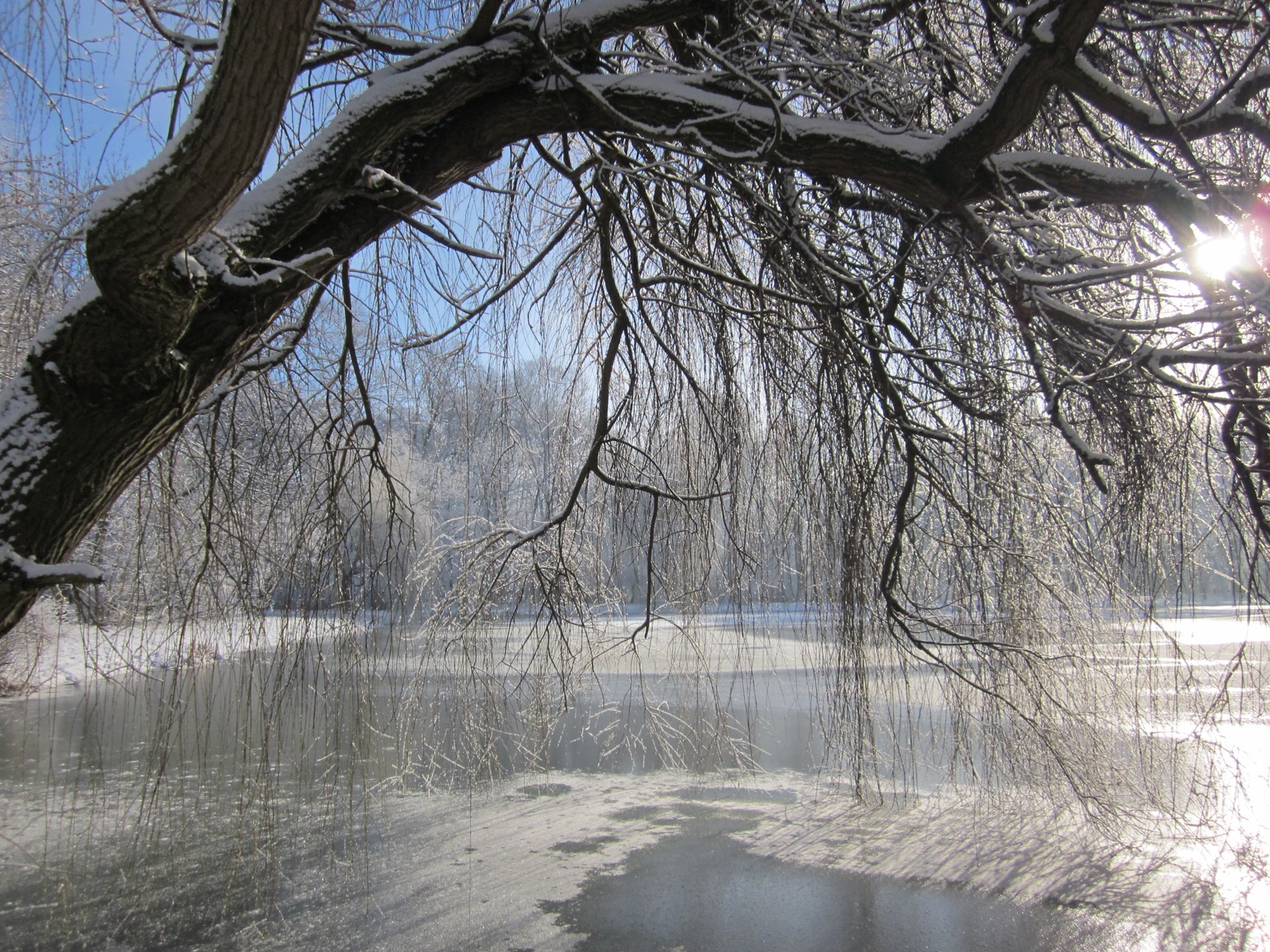 Sabine Liebster Taucha Sabine Liebster: Seelandschaft im Winter in Taucha