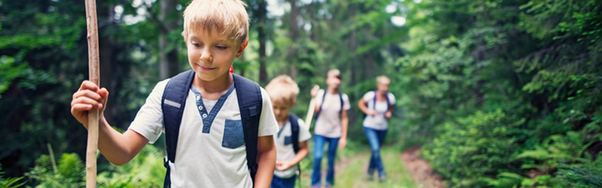 Wandern Eine Gruppe von Kindern wandert durch den Wald.